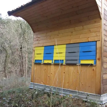 Sunny House Pisari * Gračišče